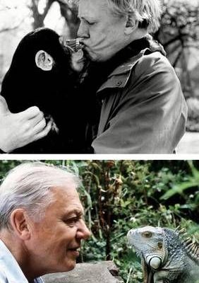 David-Attenborough-cumple-100-anos-una-vida-dedicada-a-la-naturaleza-1