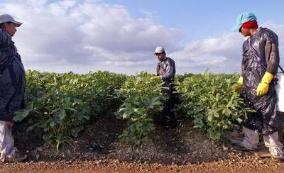 Los-38-millones-de-residentes-de-origen-mexicano-en-EU-generaron-2.27-billones-de-dolares-en-2024