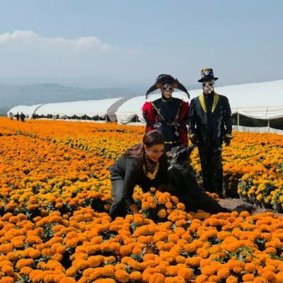 Arranca-en-CDMX-la-venta-de-cempasuchil-con-una-produccion-historica-de-10-millones-de-flores