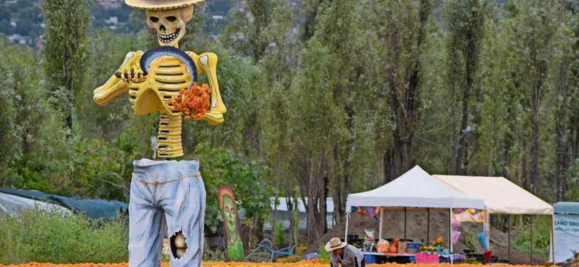 Catrinas-monumentales-reciben-a-visitantes-entre-campos-de-cempasuchil-en-Xochimilco