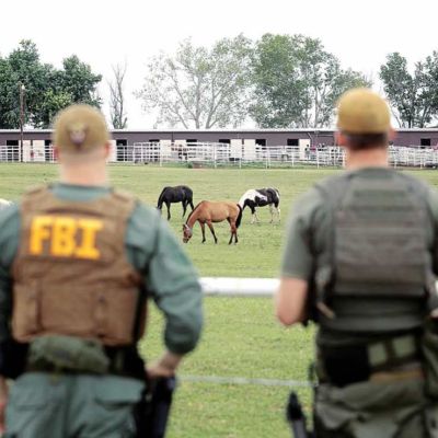 Del-lavado-con-caballos-de-Los-Zetas-a-la-red-comercial-del-Cartel-del-Noreste