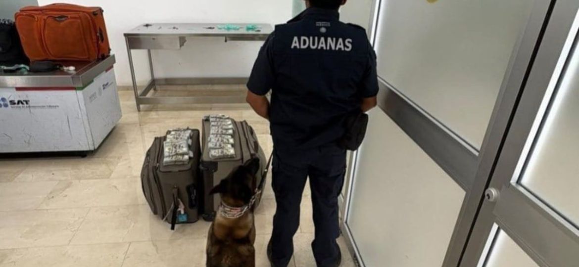 Detienen-a-estadounidense-en-aeropuerto-de-Oaxaca-con-mas-de-365-mil-dolares-en-efectivo