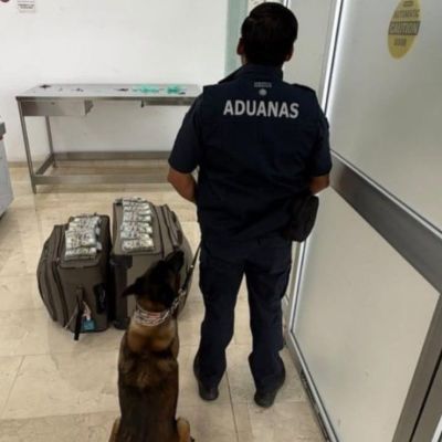 Detienen-a-estadounidense-en-aeropuerto-de-Oaxaca-con-mas-de-365-mil-dolares-en-efectivo