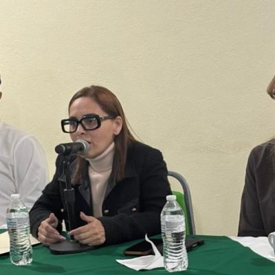 Diputada-Casandra-de-los-Santos-denuncia-ataque-con-arma-blanca-en-Rio-Bravo