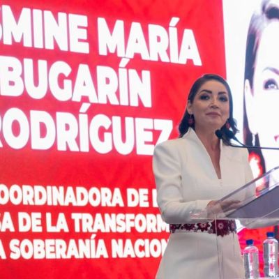 Larry-Rubin-rechaza-que-la-doble-nacionalidad-implique-deslealtad-en-el-caso-de-Jasmine-Bugarin