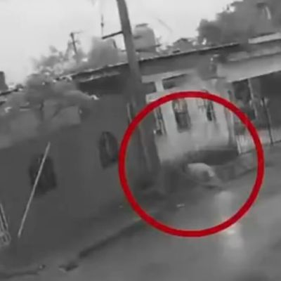 Muere-perrito-electrocutado-por-un-cable-en-calles-de-Merida