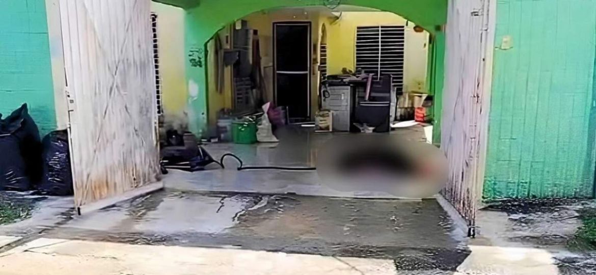 Mujer-muere-tras-ataque-de-abejas-en-fraccionamiento-de-Merida