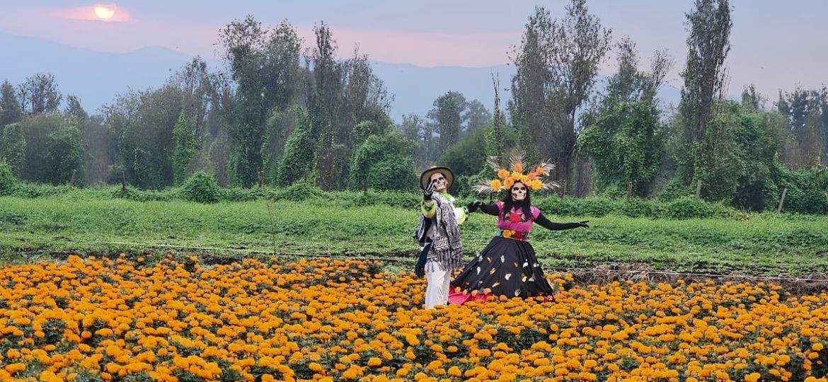 Ruta-del-Cempasuchil-en-Xochimilco-fechas-horarios-y-precio-del-recorrido