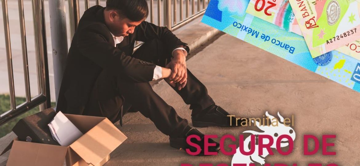 Seguro-de-Desempleo-CDMX-requisitos-y-como-tramitar-el-apoyo-economico