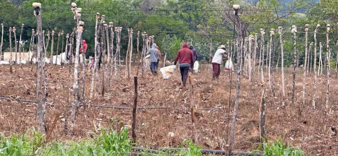 Senado-analiza-Ley-de-Topografia-para-prevenir-conflictos-por-limites-de-tierras